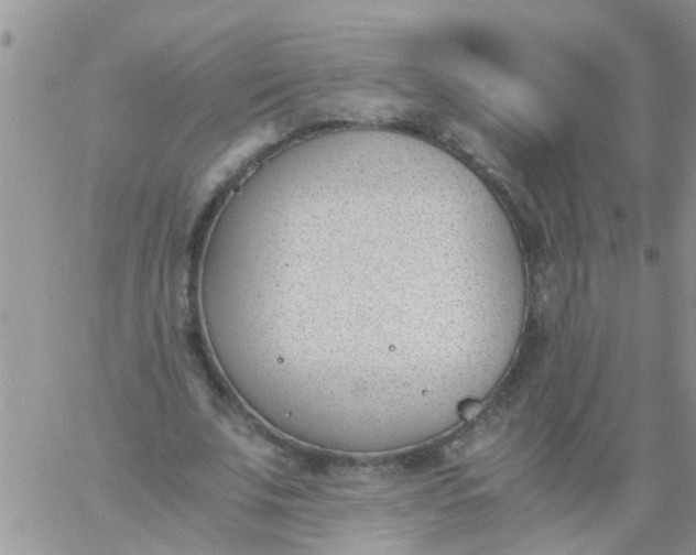 X0000060800679200511241911