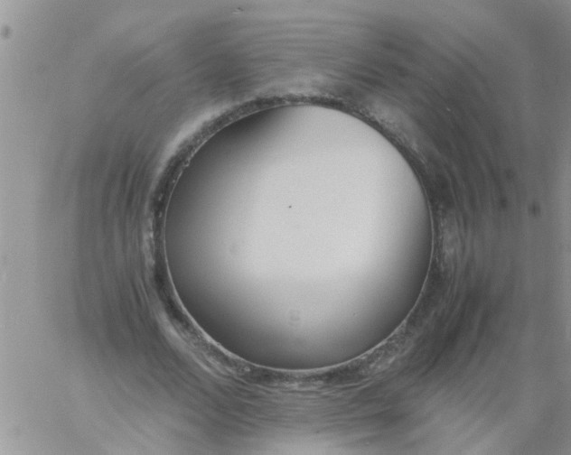 X0000060800680200511241911