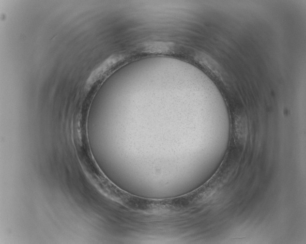 X0000060800682200511241911