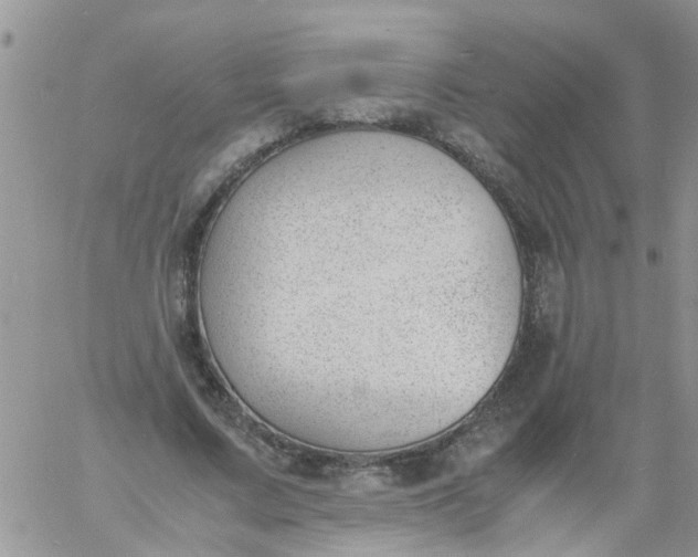 X0000060800683200511241911