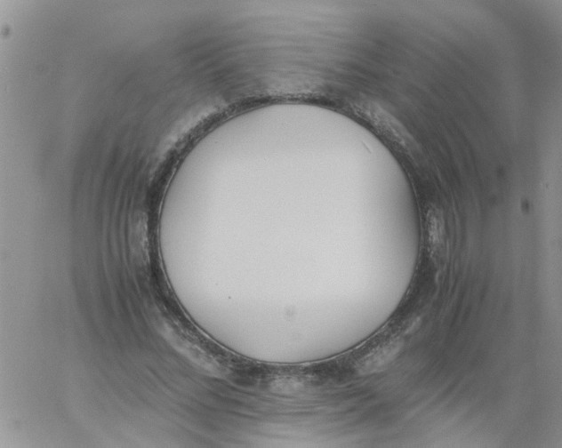 X0000060800684200511241911