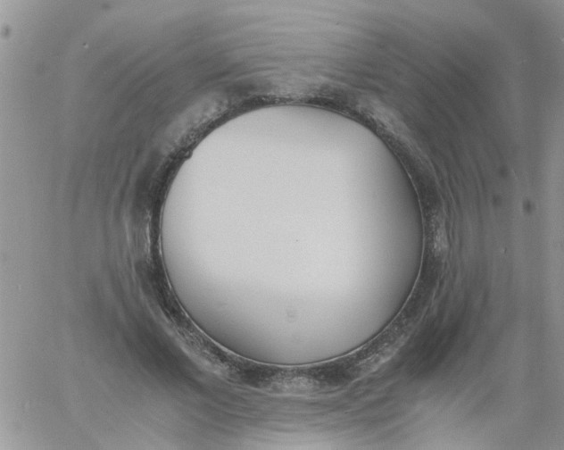 X0000060800685200511241911