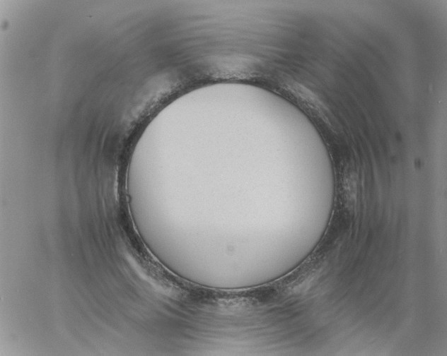 X0000060800686200511241911