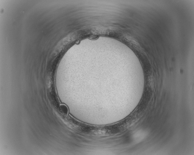 X0000060800687200511241911