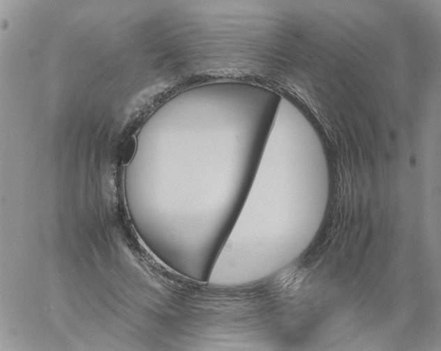 X0000060800688200511241911