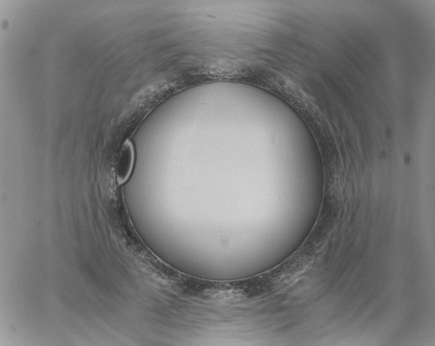 X0000060800689200511241911