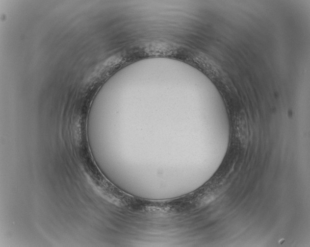 X0000060800690200511241911