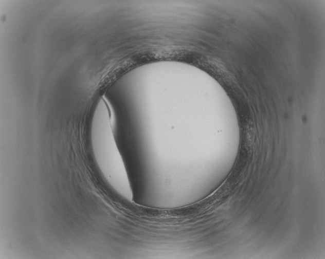 X0000060800691200511241911