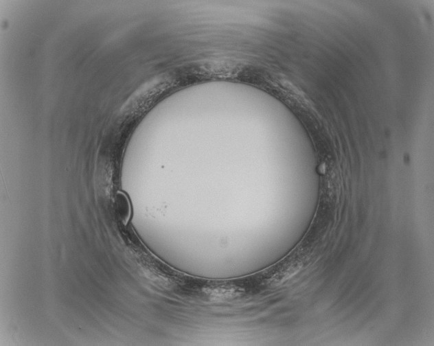 X0000060800693200511241911