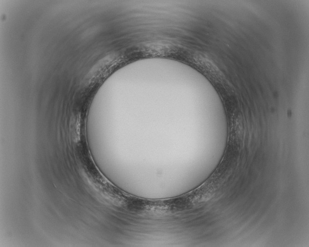 X0000060800694200511241910