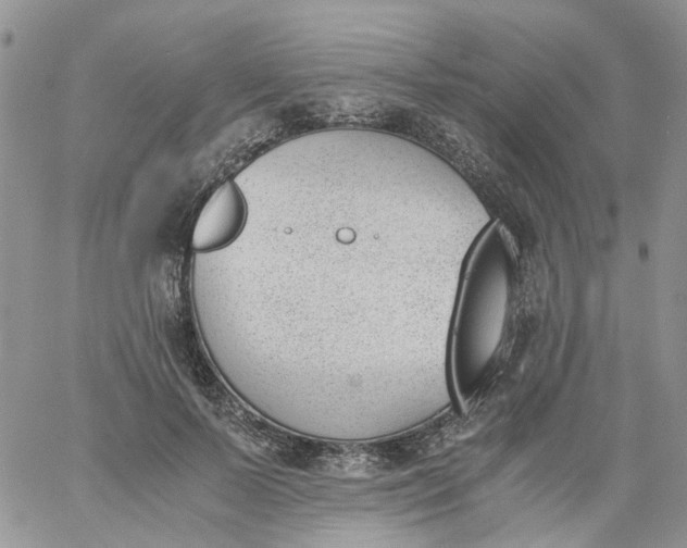 X0000060800695200511241910