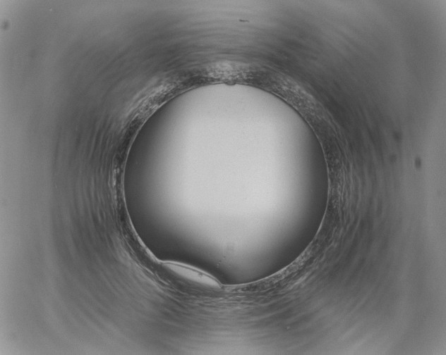 X0000060800696200511241910