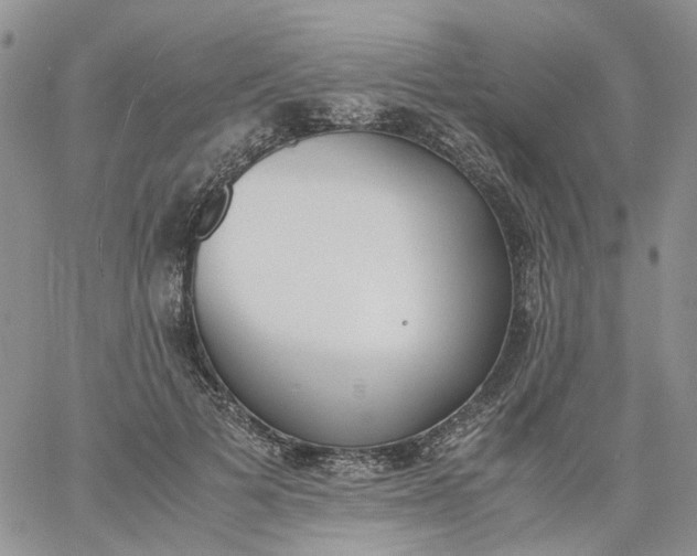 X0000060800697200511241910