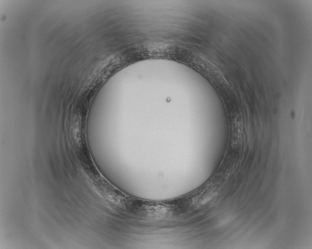 X0000060800698200511241910