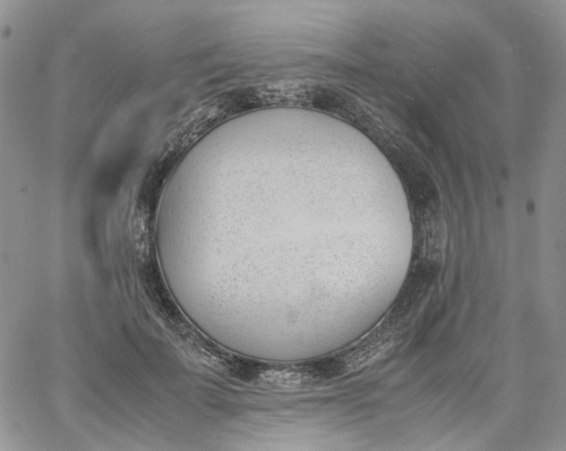 X0000060800699200511241910