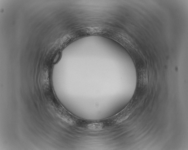 X0000060800700200511241910