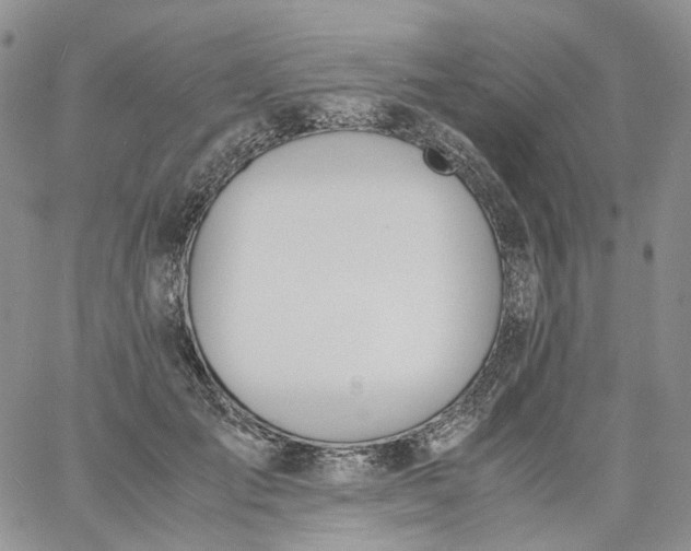 X0000060800701200511241910