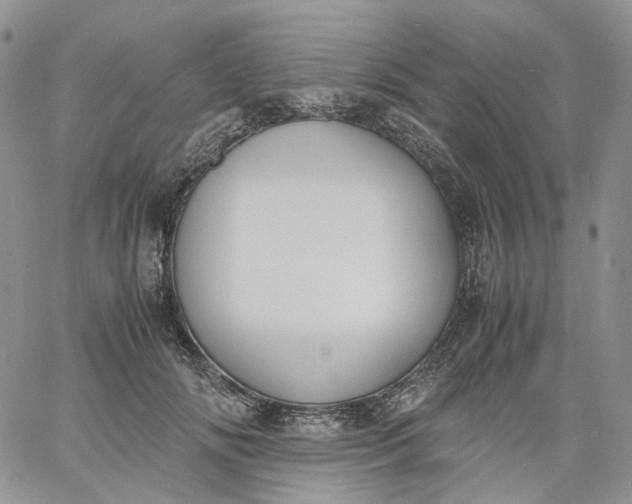 X0000060800702200511241910