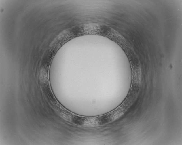 X0000060800705200511241910