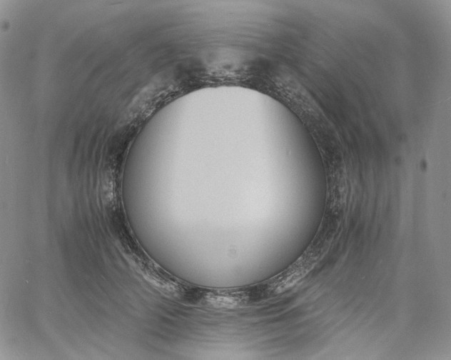 X0000060800706200511241910