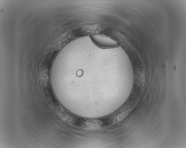 X0000060800707200511241910