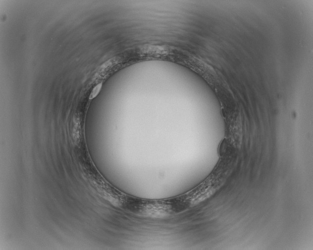 X0000060800708200511241910