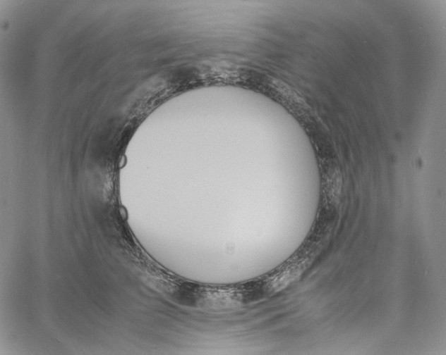 X0000060800709200511241910