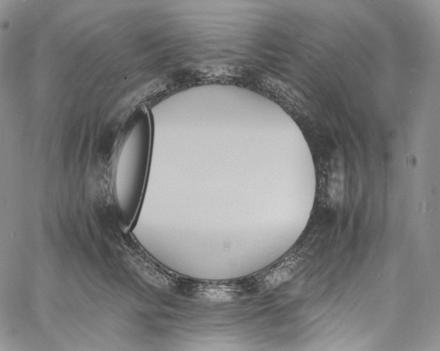 X0000060800710200511241910