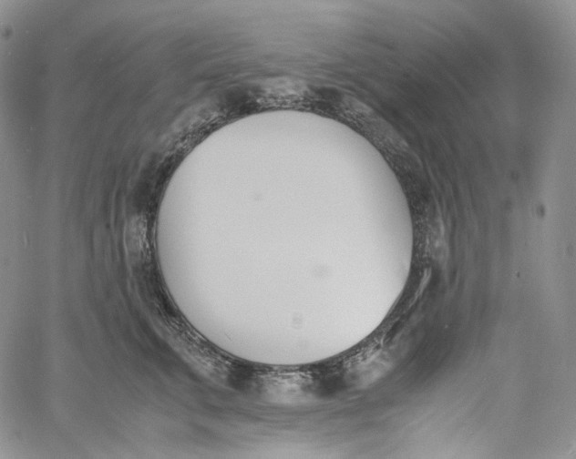 X0000060800711200511241910