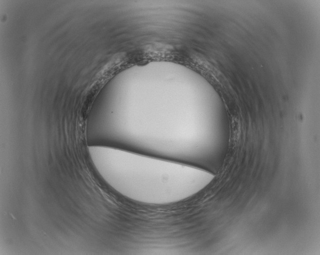 X0000060800712200511241910