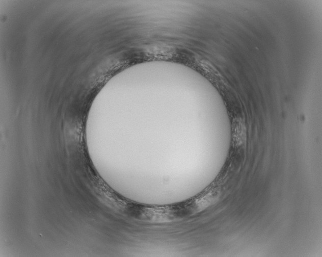 X0000060800713200511241910