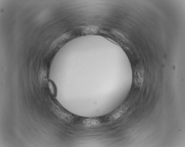 X0000060800714200511241910