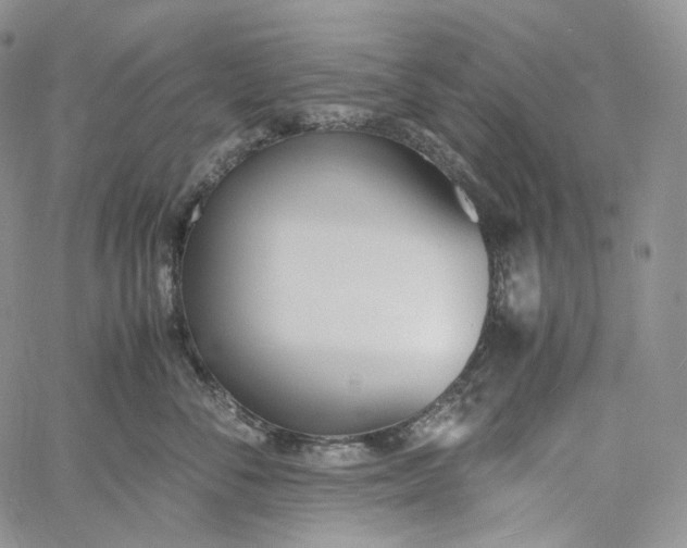 X0000060800716200511241910