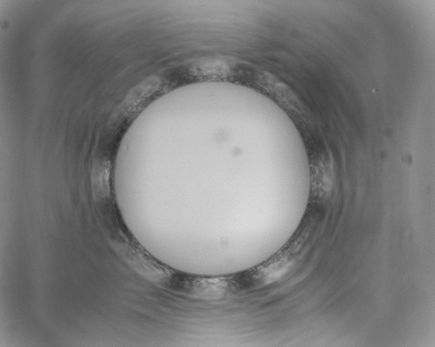 X0000060800717200511241910