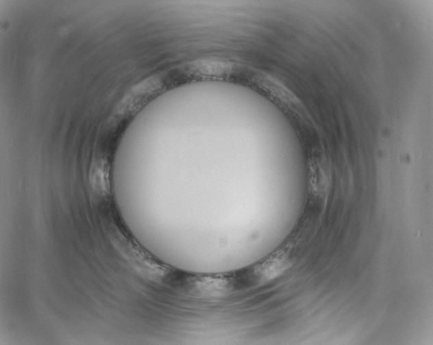 X0000060800718200511241910