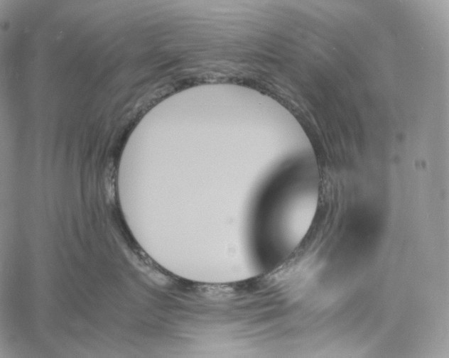 X0000060800719200511241910