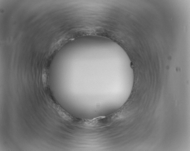 X0000060800720200511241910