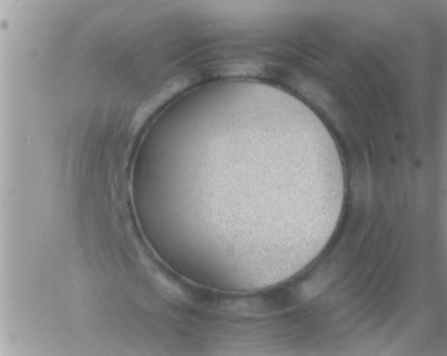 X0000060800721200511241909