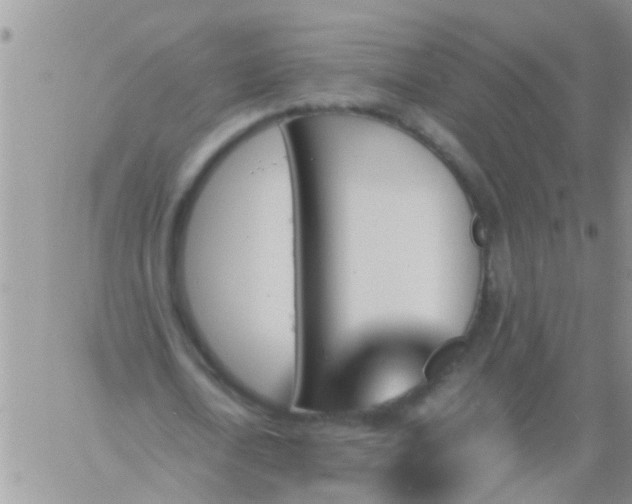 X0000060800722200511241909