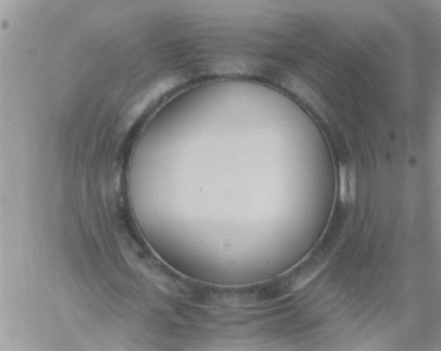 X0000060800723200511241909