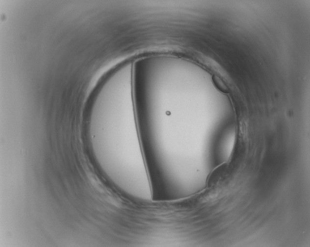 X0000060800724200511241909