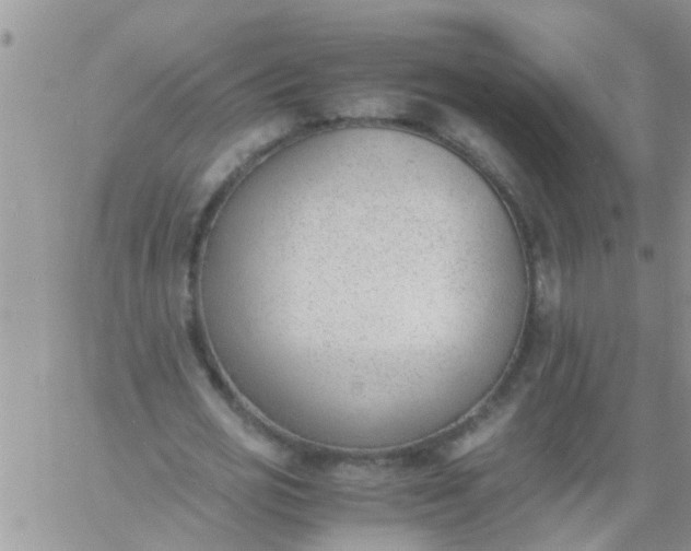 X0000060800725200511241909