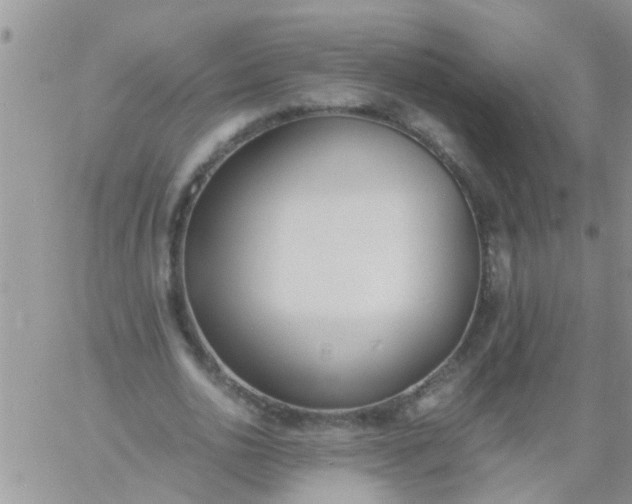 X0000060800726200511241909