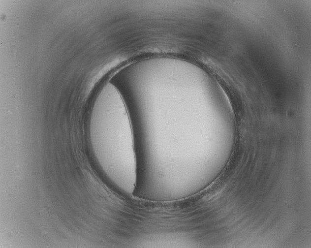 X0000060800727200511241909