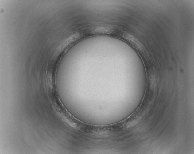 X0000060800729200511241909