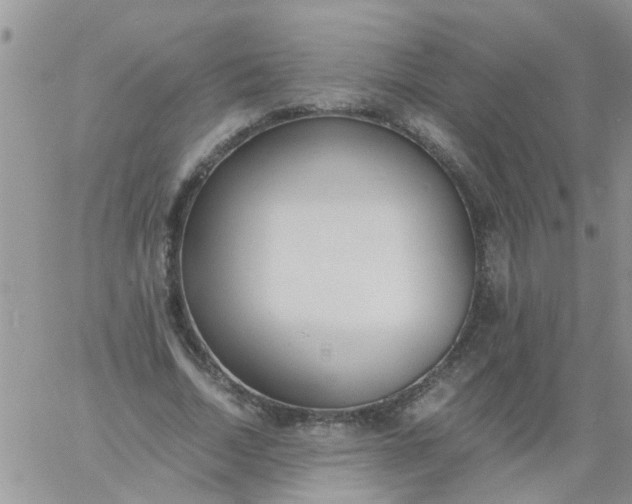 X0000060800730200511241909