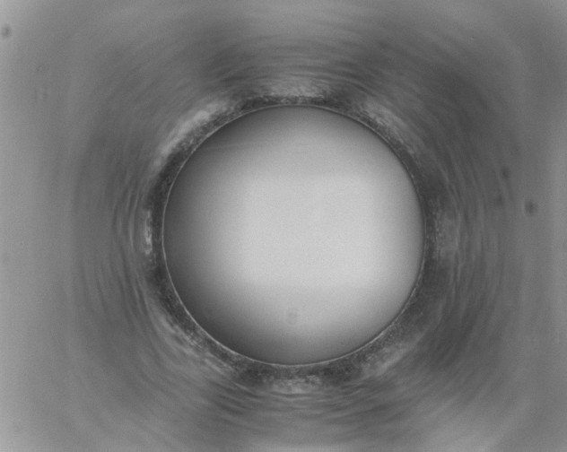 X0000060800731200511241909