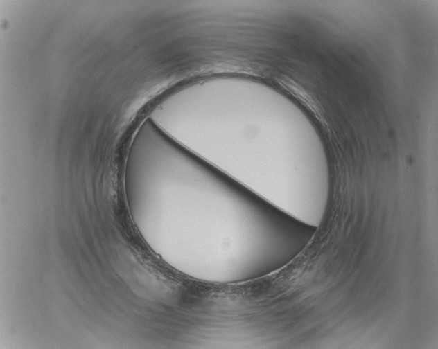 X0000060800732200511241909