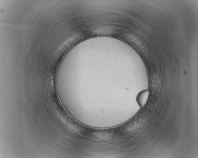 X0000060800733200511241909