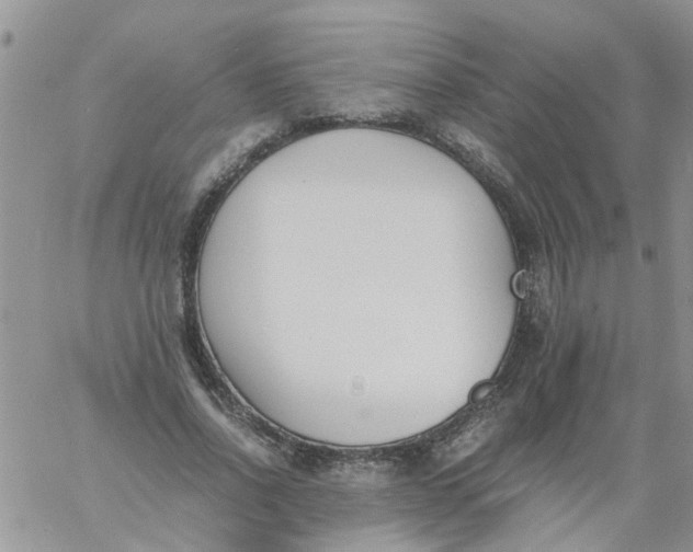 X0000060800734200511241909